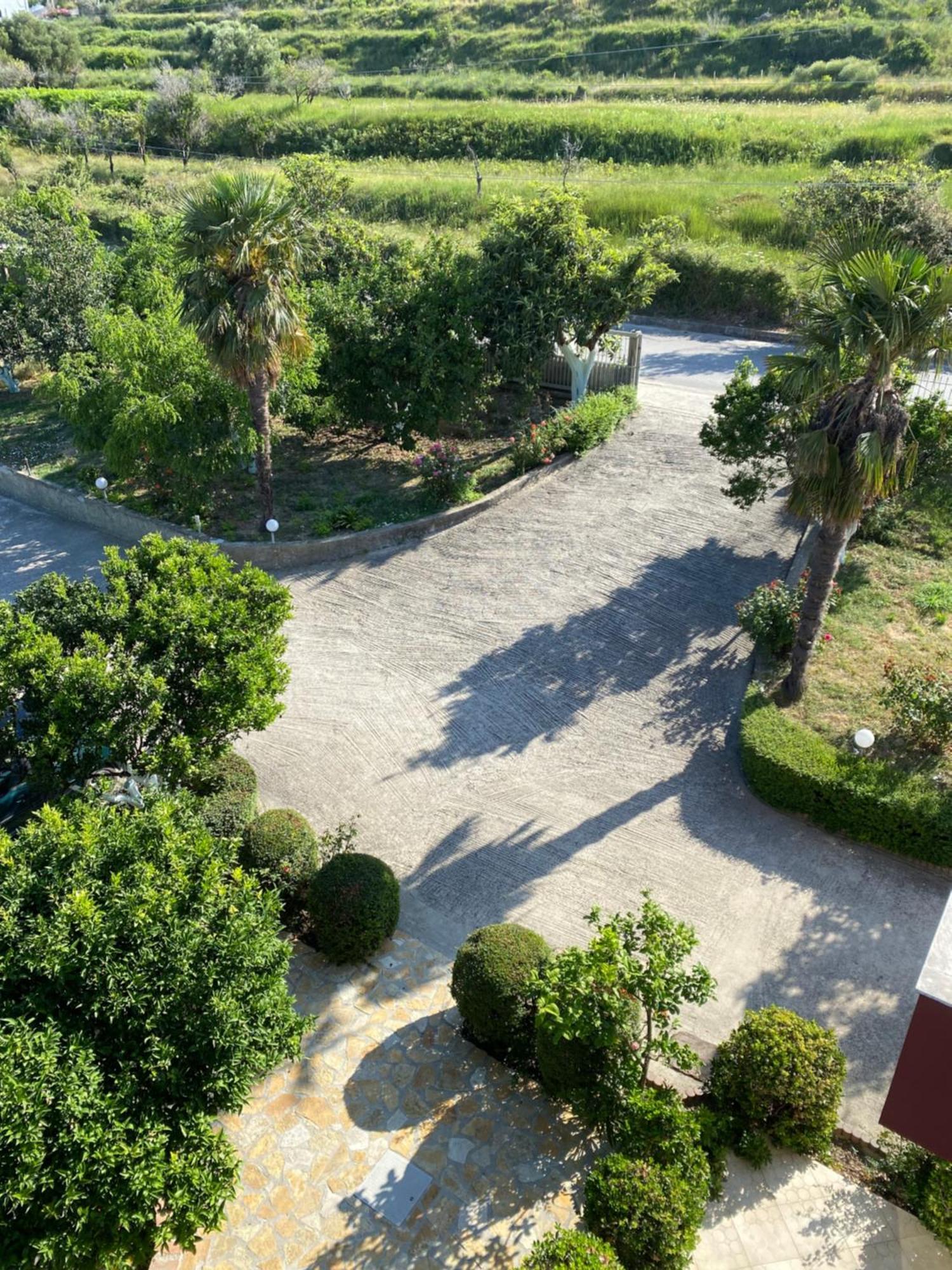 Hotel Dini Radhimë المظهر الخارجي الصورة